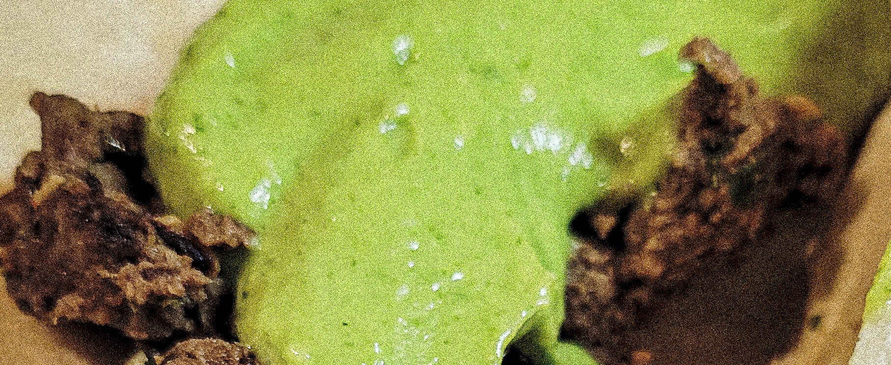 Avocado Salsa